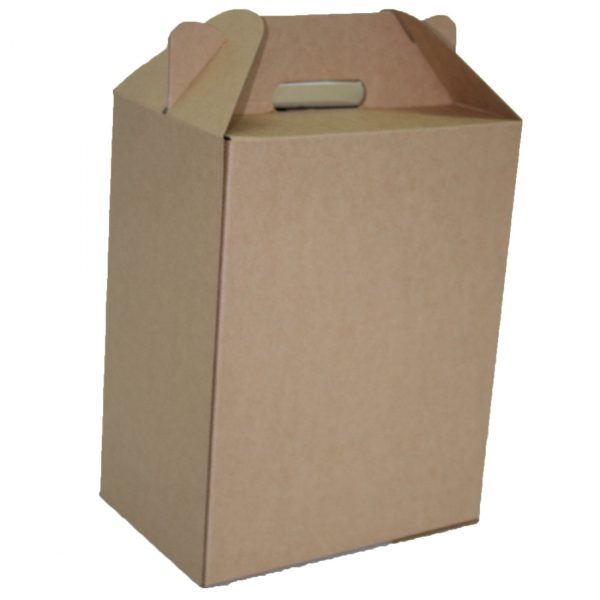 carry pack boxes